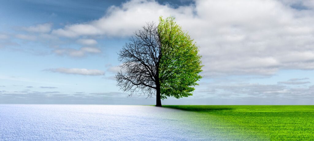 Seasons move from an old one to a new one