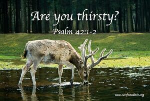 Faith in the midst of despair. Thirsting for God