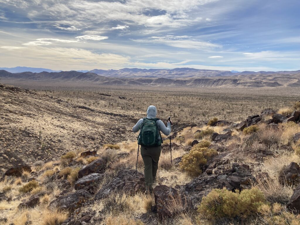 The wilderness, the way to the Lord, not punished or exiled