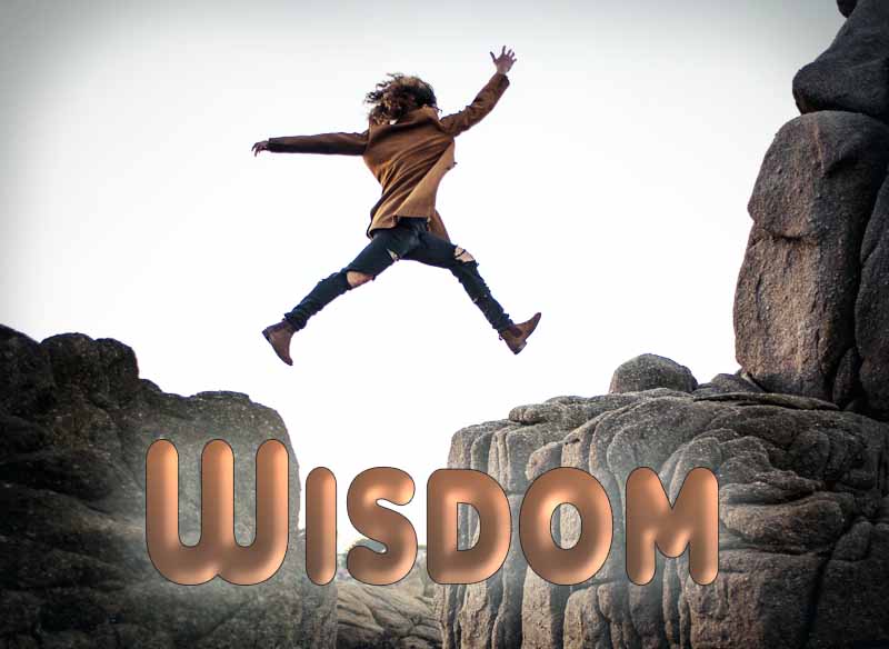 Wisdom delights in the wold and calls us to do the same.